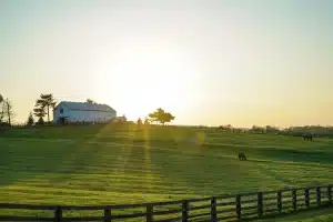Kentucky horse farm at dawn